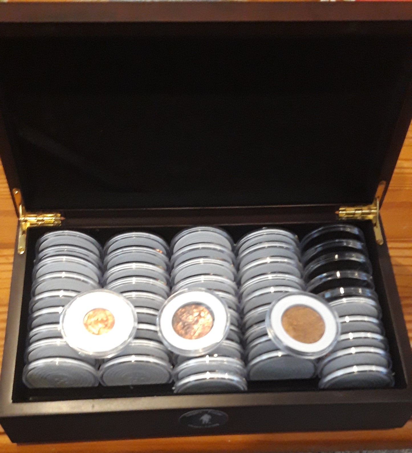 Coin Display Box