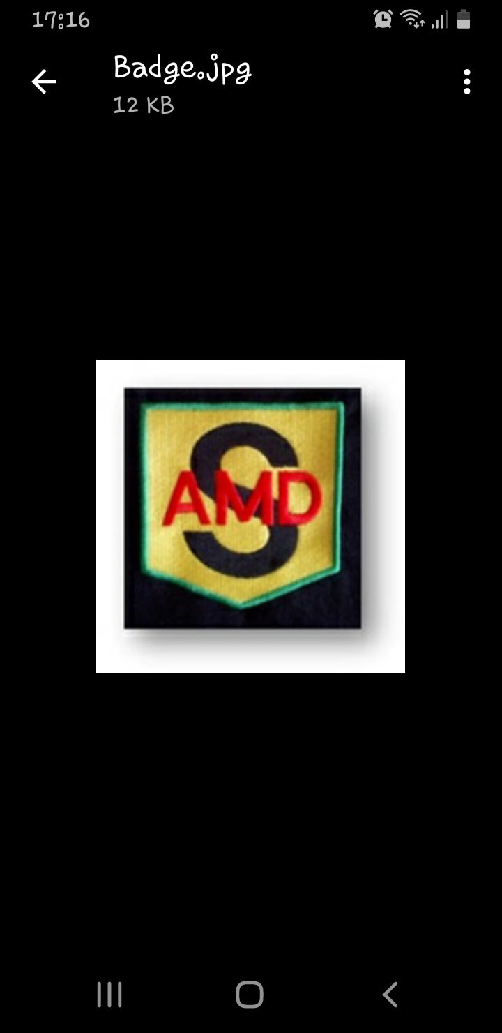 AMDS BADGE